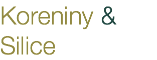 Koreniny & Silice